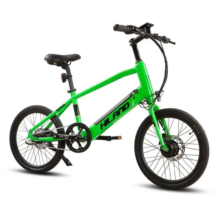 Electric Electric City Bike
