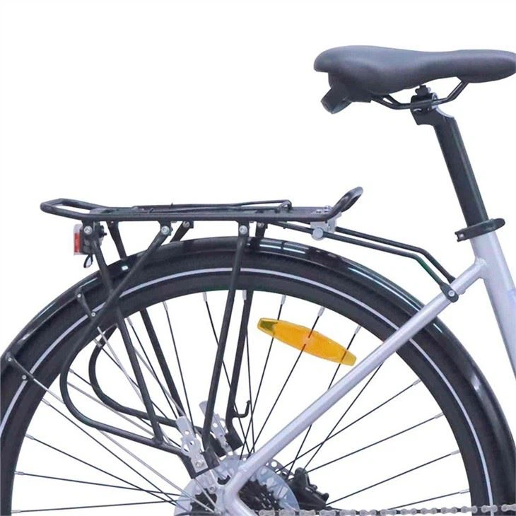 Electric City Bike in China