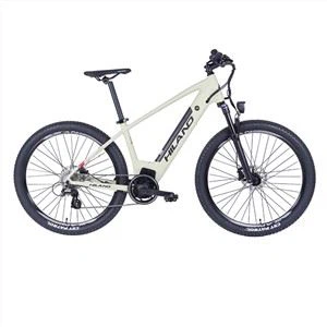 Leonard elektrisk mountainbike