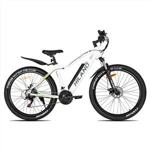 Bafang Motor Fat Tire Ebike Mountain Cycle