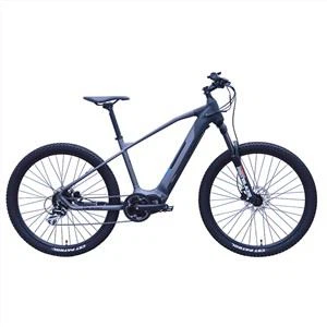 Patrick elektrisk mountainbike
