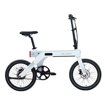 20" 36V 350W Magnesiumlegering folde E-cykel